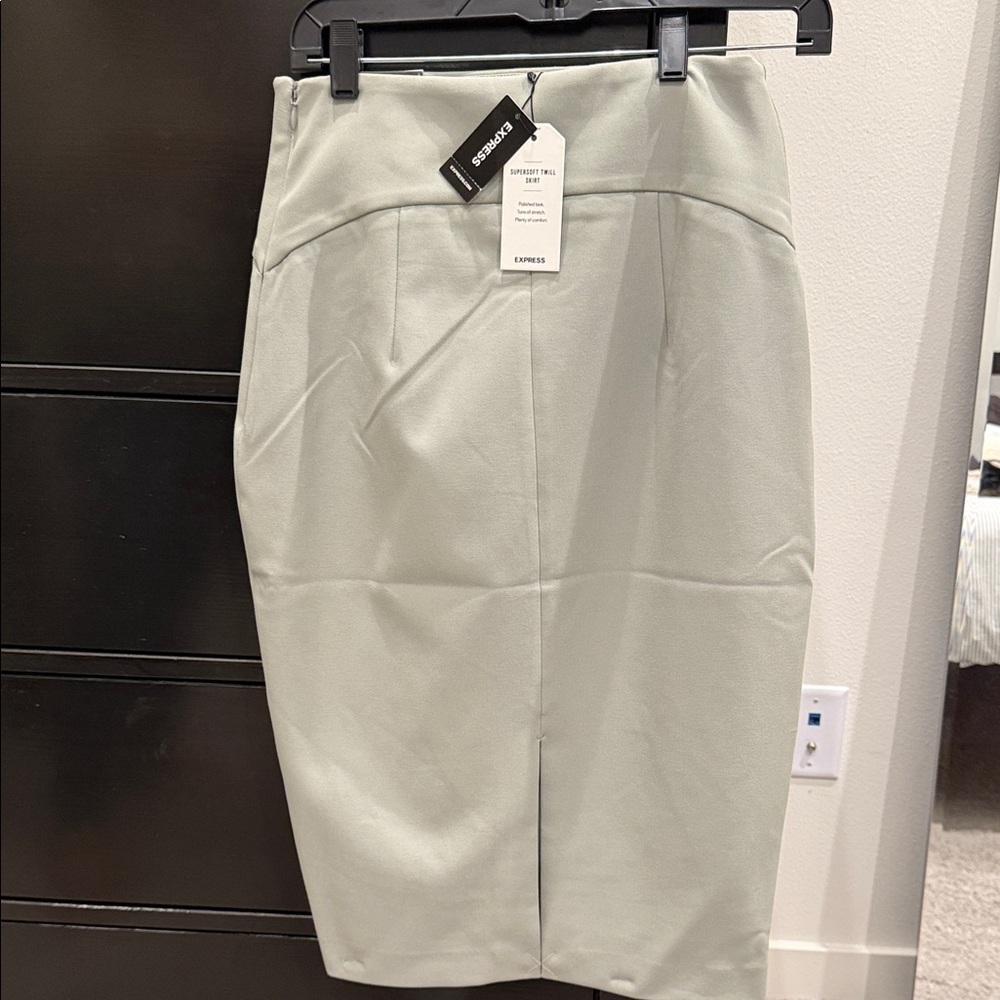 Express Women's Light Green Midi Skirt